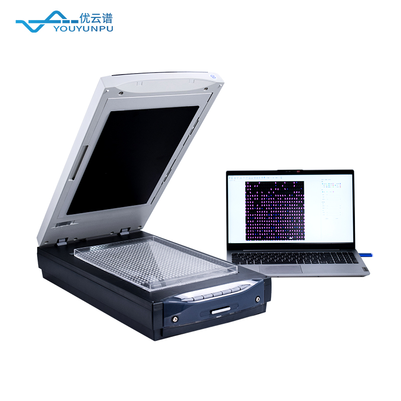 稻米品质分析仪：科学评价稻米品质的重要工具