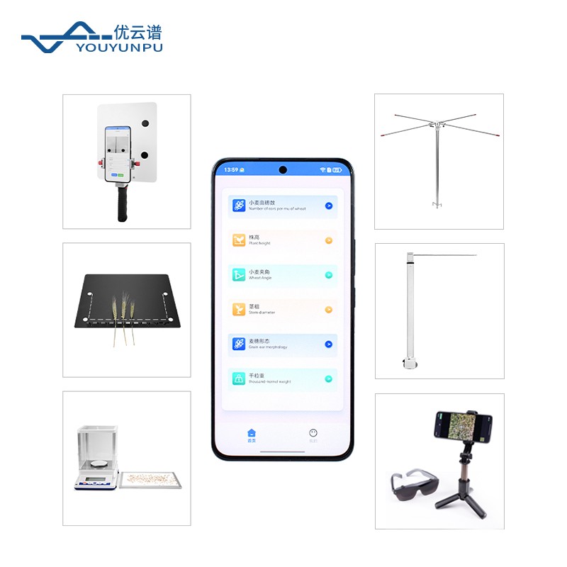 小麦表型检测仪有哪些品牌值得关注？2026测量性能与采购要点分析